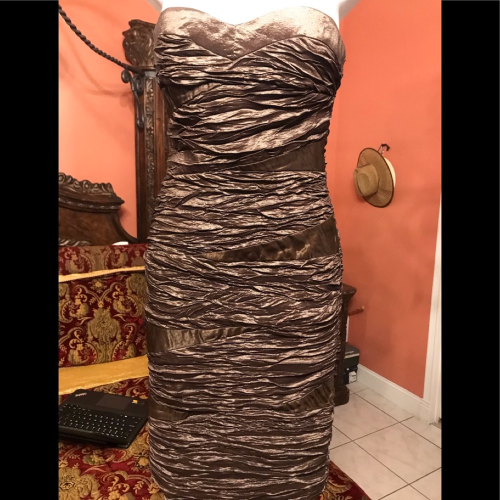 Fitted formal Dress